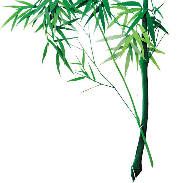 中国风卡通手绘绿色竹子水墨竹叶竹节