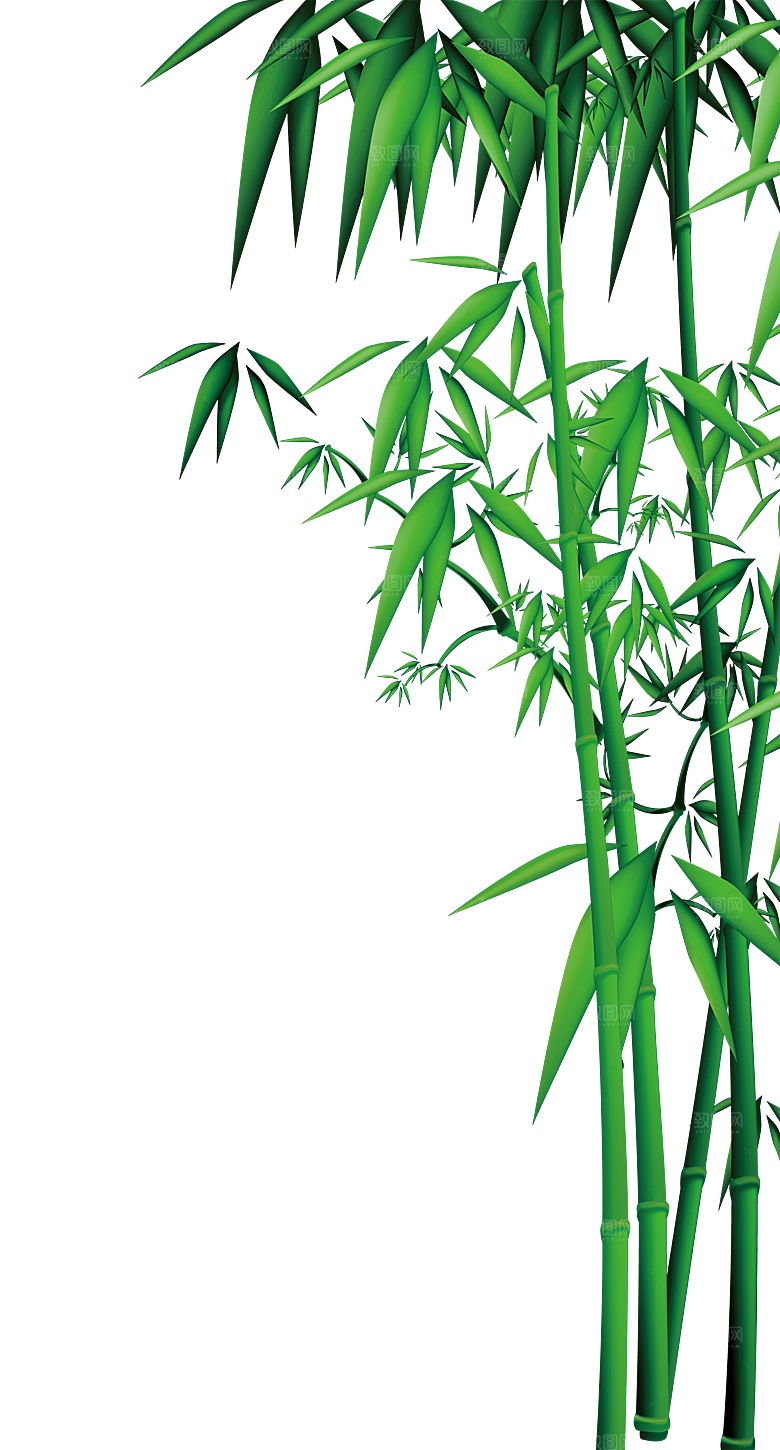中国风卡通手绘绿色竹子水墨竹叶竹节