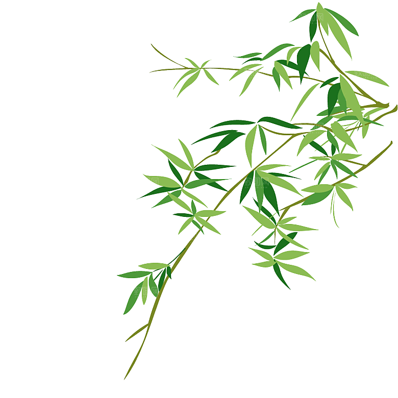 中国风卡通手绘绿色竹子水墨竹叶竹节
