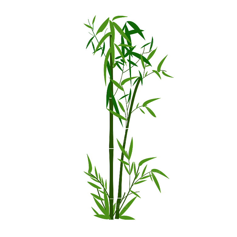 中国风卡通手绘绿色竹子水墨竹叶竹节