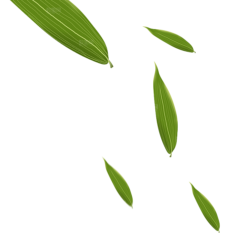 中国风卡通手绘绿色竹子水墨竹叶竹节