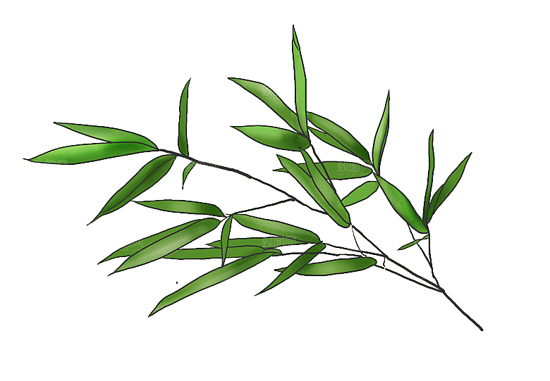 中国风卡通手绘绿色竹子水墨竹叶竹节