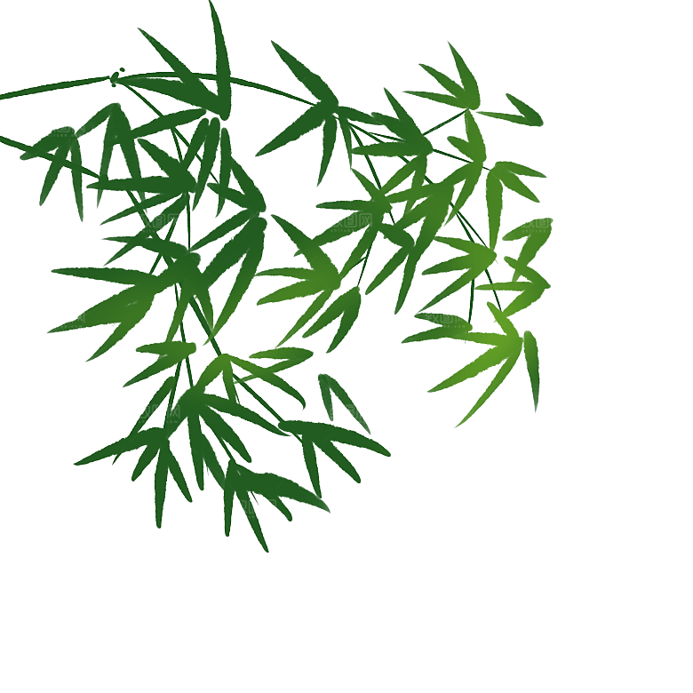 中国风卡通手绘绿色竹子水墨竹叶竹节