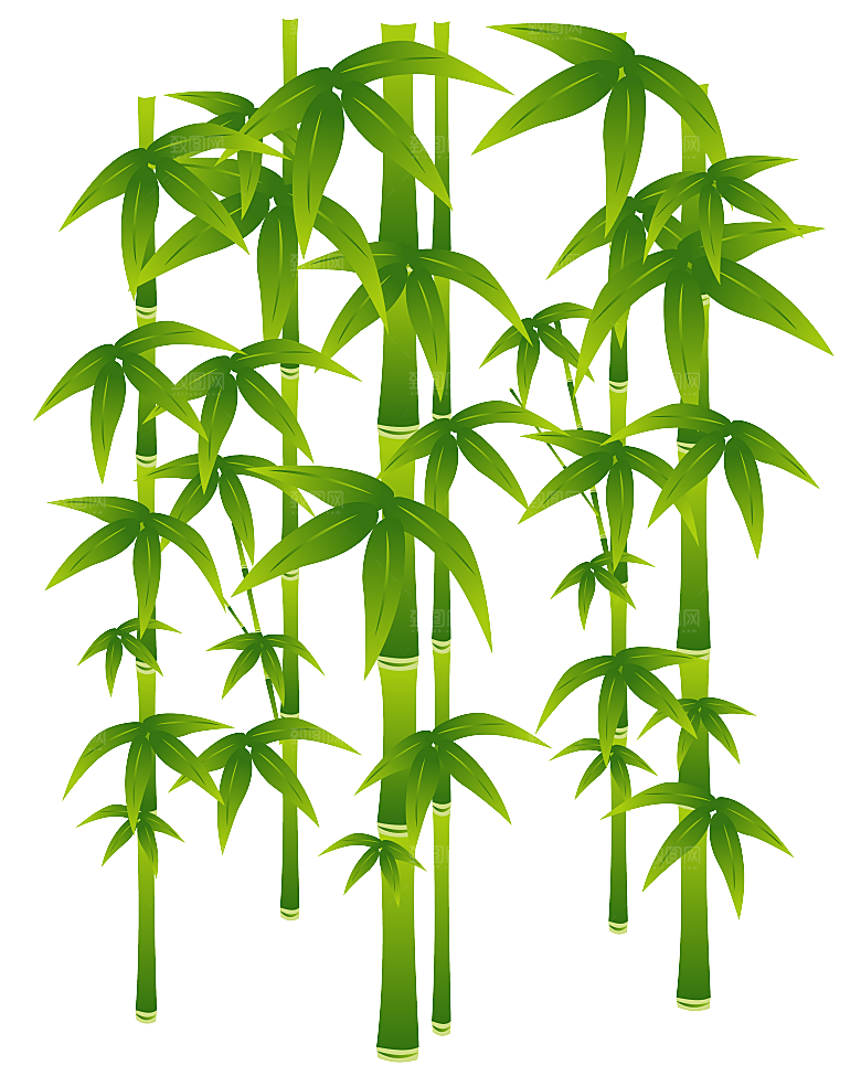 中国风卡通手绘绿色竹子水墨竹叶竹节