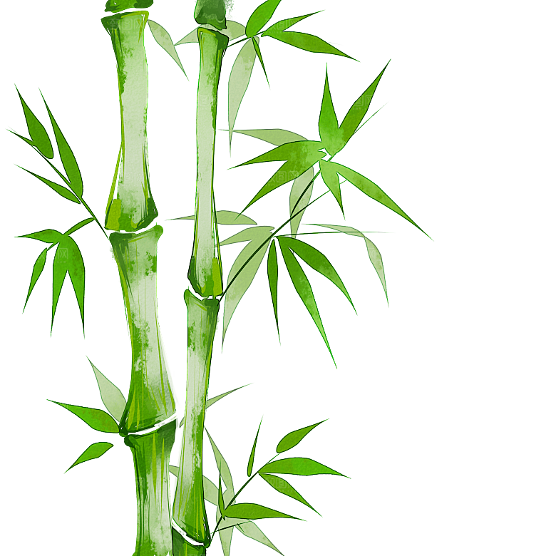 中国风卡通手绘绿色竹子水墨竹叶竹节