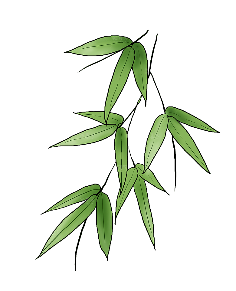 中国风卡通手绘绿色竹子水墨竹叶竹节