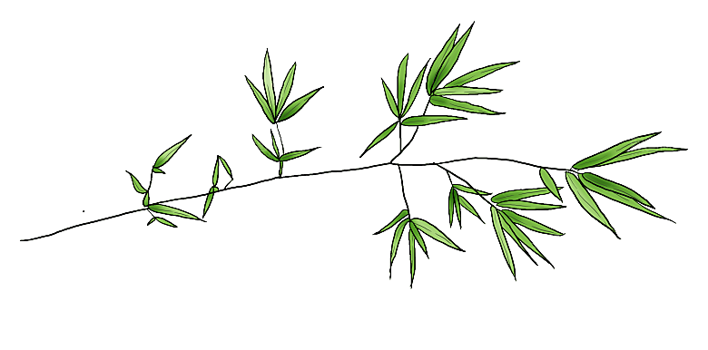 中国风卡通手绘绿色竹子水墨竹叶竹节