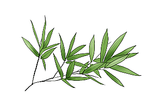 中国风卡通手绘绿色竹子水墨竹叶竹节