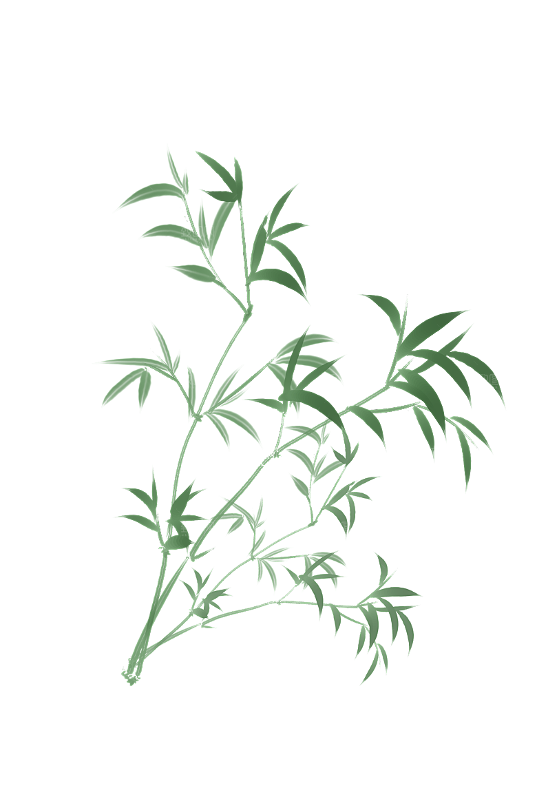 中国风卡通手绘绿色竹子水墨竹叶竹节