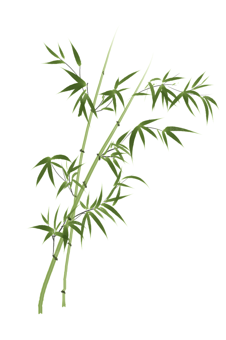 中国风卡通手绘绿色竹子水墨竹叶竹节