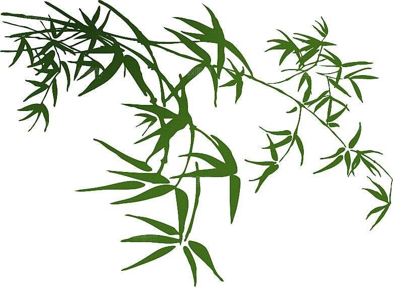 中国风卡通手绘绿色竹子水墨竹叶竹节