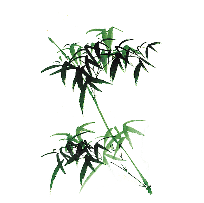 中国风卡通手绘绿色竹子水墨竹叶竹节