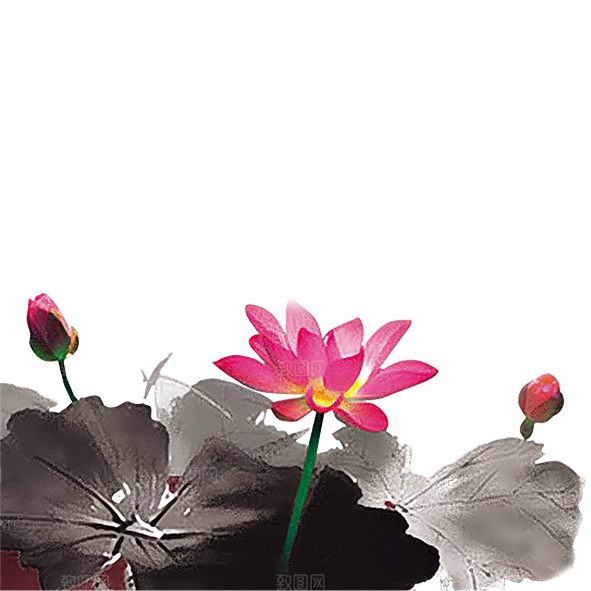 中国风水墨荷花莲花插图清新手绘荷花莲花