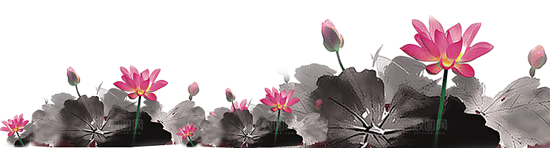 中国风水墨荷花莲花插图清新手绘荷花莲花