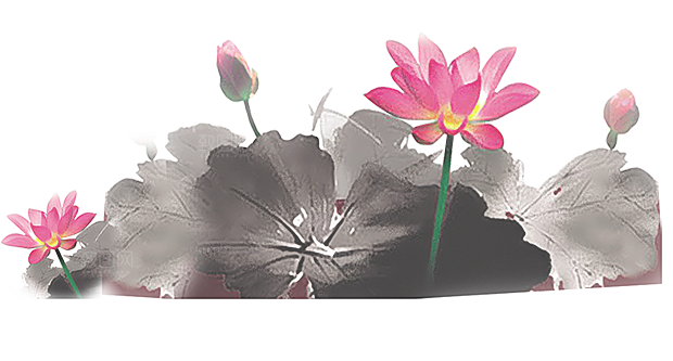 中国风水墨荷花莲花插图清新手绘荷花莲花