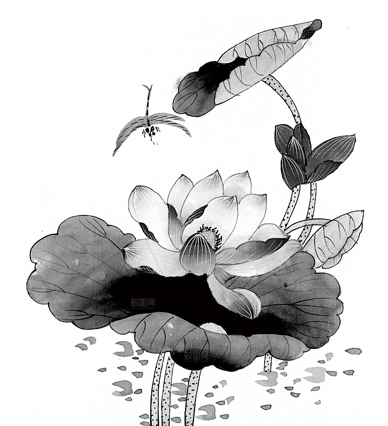 中国风水墨荷花莲花插图清新手绘荷花莲花