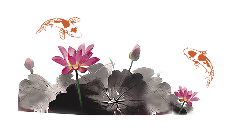 中国风水墨荷花莲花插图清新手绘荷花莲花