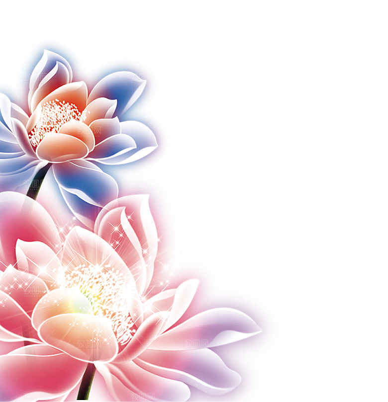 中国风水墨荷花莲花插图清新手绘荷花莲花