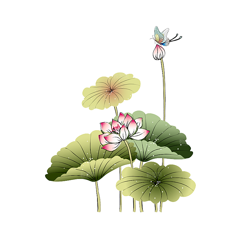 中国风水墨荷花莲花插图清新手绘荷花莲花