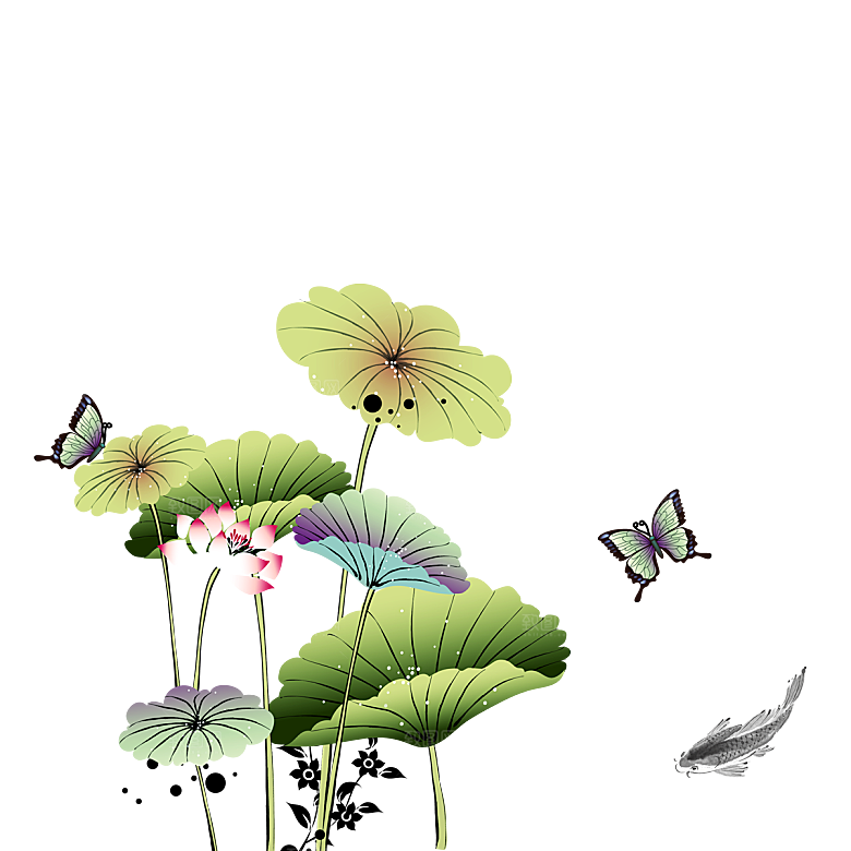 中国风水墨荷花莲花插图清新手绘荷花莲花