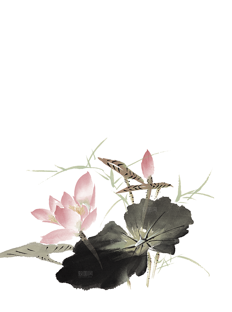 中国风水墨荷花莲花插图清新手绘荷花莲花