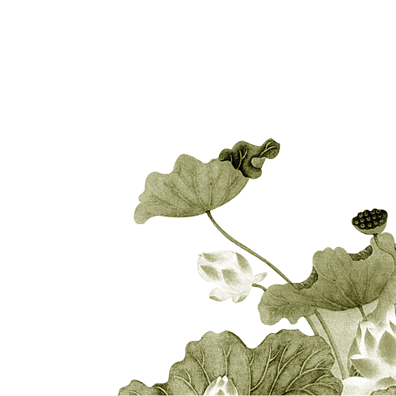 中国风水墨荷花莲花插图清新手绘荷花莲花