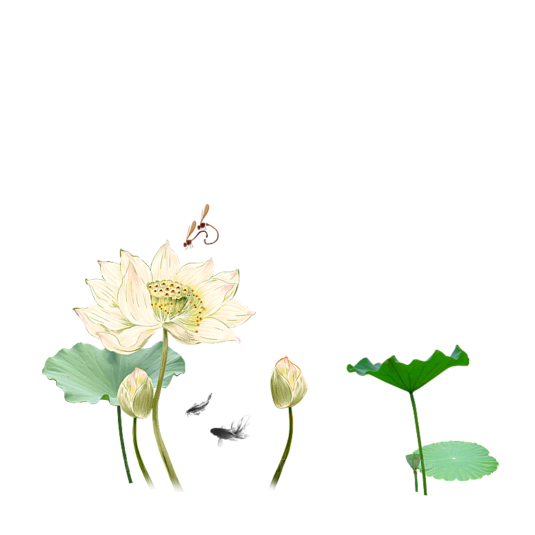 中国风水墨荷花莲花插图清新手绘荷花莲花