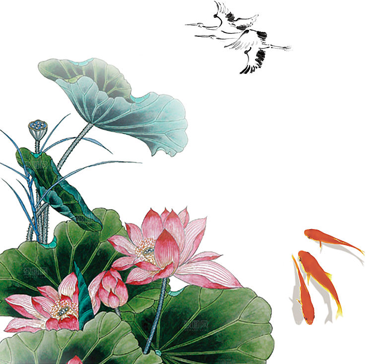 中国风水墨荷花莲花插图清新手绘荷花莲花