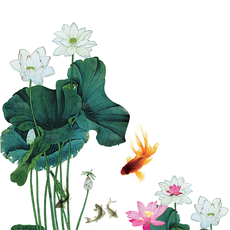 中国风水墨荷花莲花插图清新手绘荷花莲花