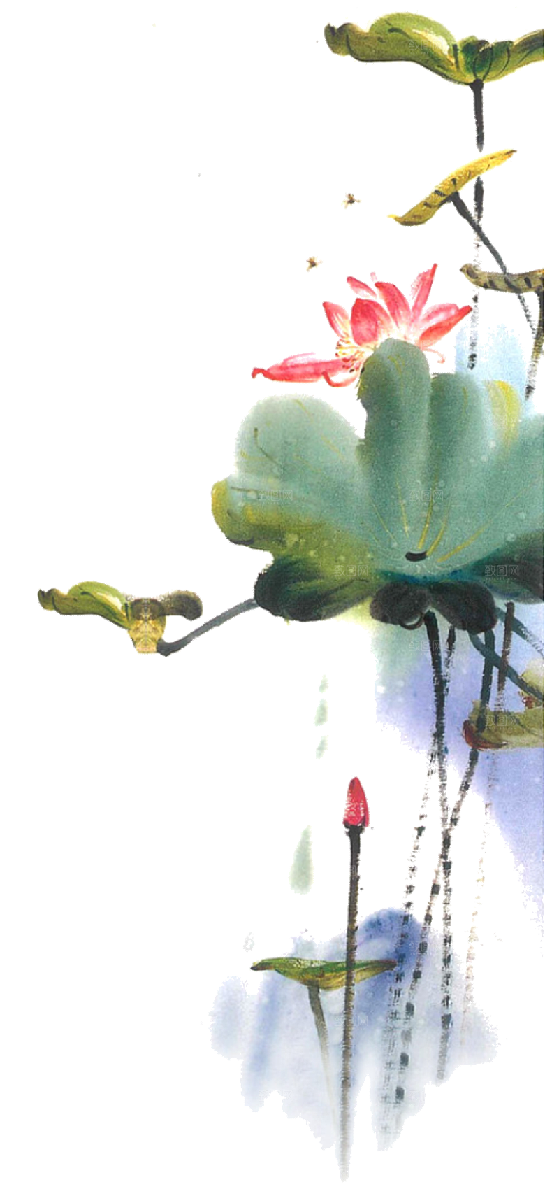 中国风水墨荷花莲花插图清新手绘荷花莲花