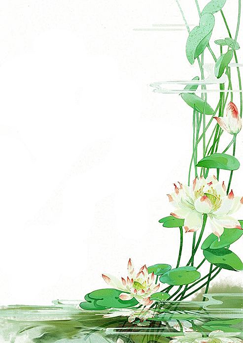 中国风水墨荷花莲花插图清新手绘荷花莲花