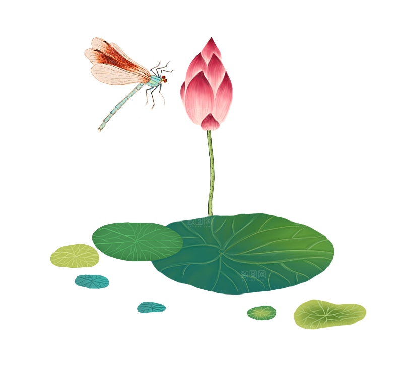 中国风水墨荷花莲花插图清新手绘荷花莲花