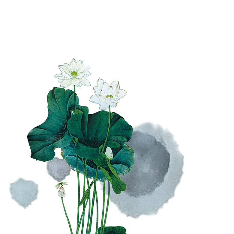 中国风水墨荷花莲花插图清新手绘荷花莲花
