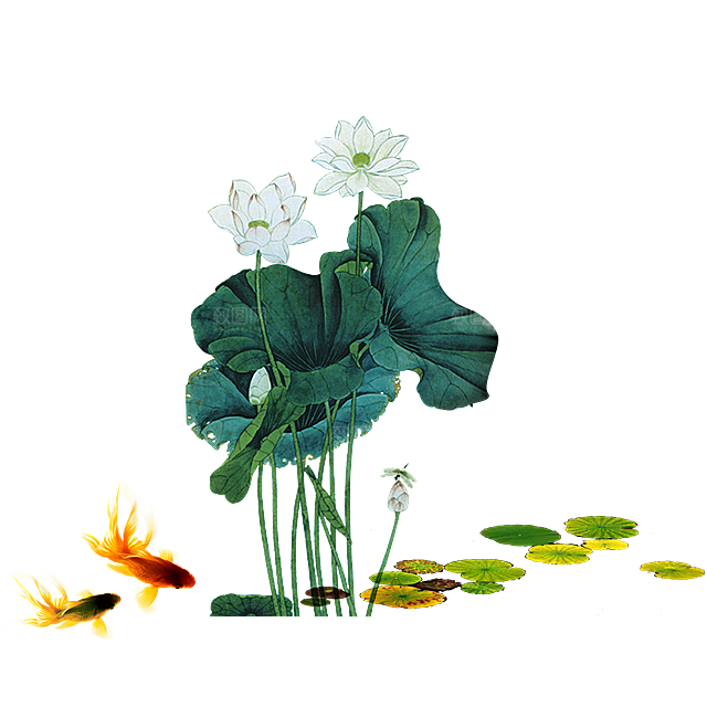 中国风水墨荷花莲花插图清新手绘荷花莲花
