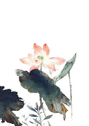 中国风水墨荷花莲花插图清新手绘荷花莲花