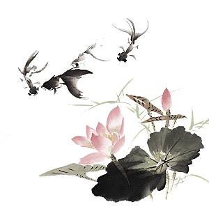 中国风水墨荷花莲花插图清新手绘荷花莲花