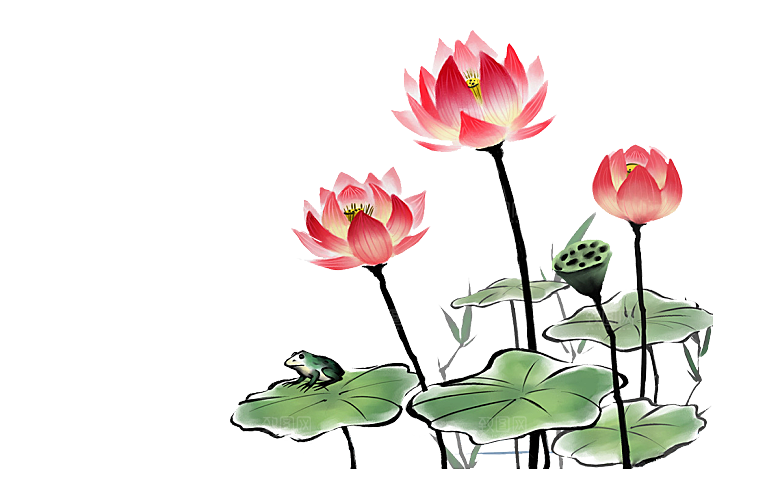 中国风水墨荷花莲花插图清新手绘荷花莲花