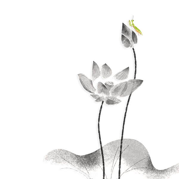 中国风水墨荷花莲花插图清新手绘荷花莲花