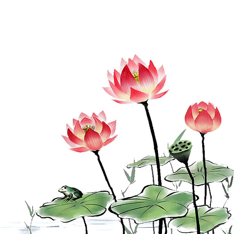中国风水墨荷花莲花插图清新手绘荷花莲花
