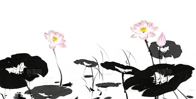 中国风水墨荷花莲花插图清新手绘荷花莲花