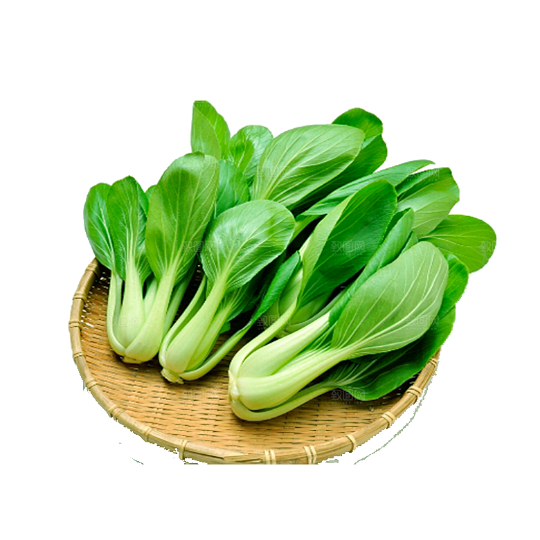 手绘水彩水墨水果蔬菜美食餐饮