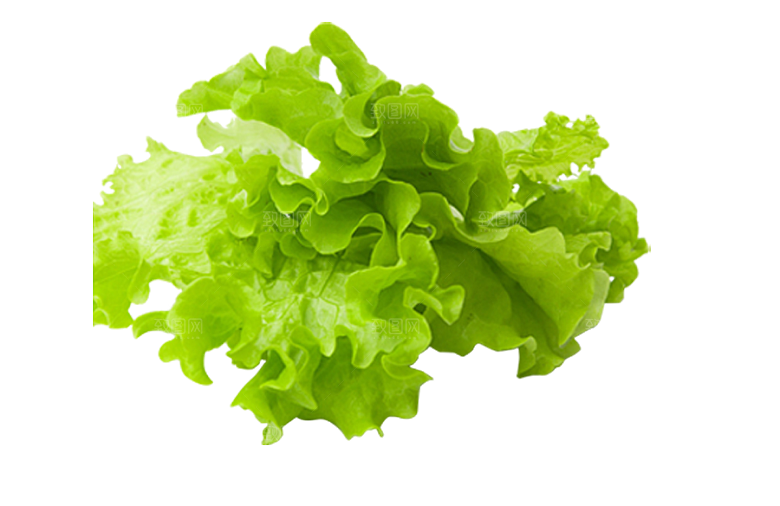 手绘水彩水墨水果蔬菜美食餐饮