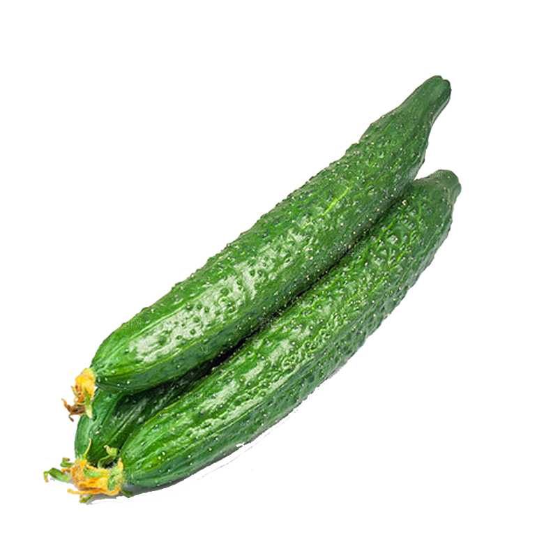 手绘水彩水墨水果蔬菜美食餐饮