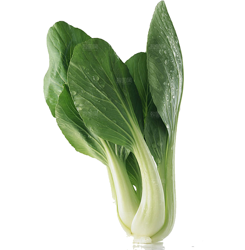 手绘水彩水墨水果蔬菜美食餐饮