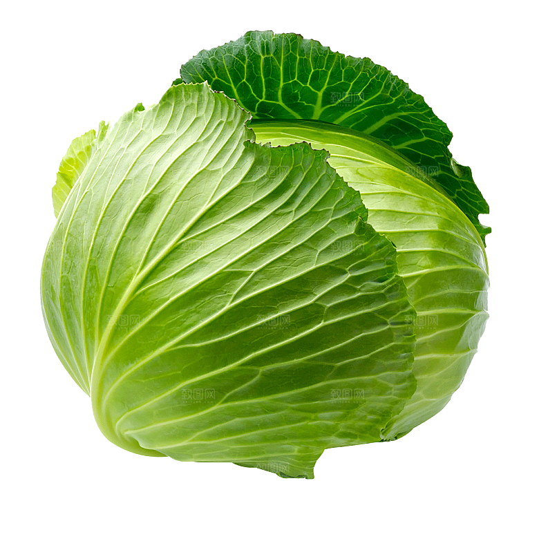 手绘水彩水墨水果蔬菜美食餐饮