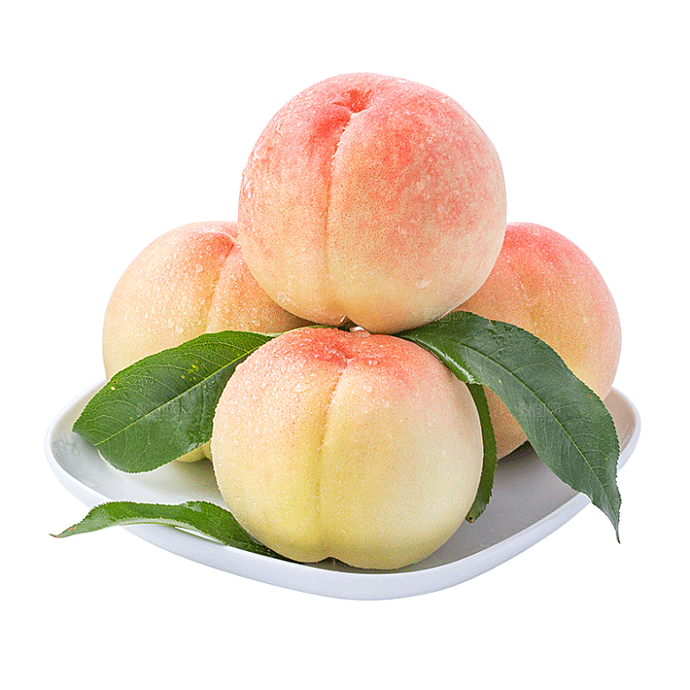 手绘水彩水墨水果蔬菜美食餐饮