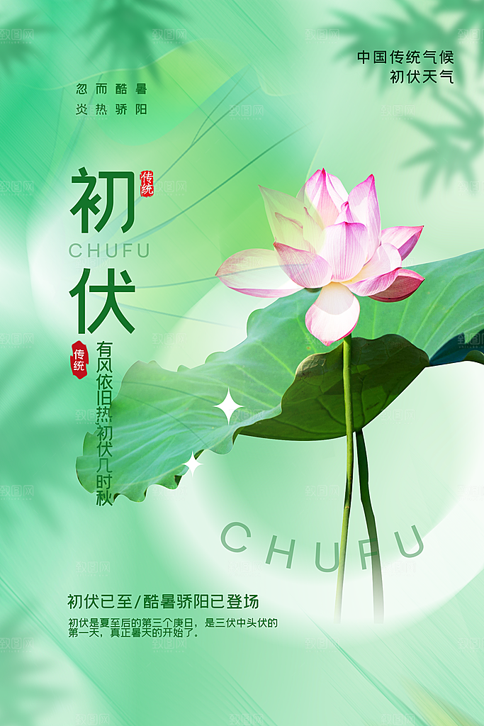 大气三伏天夏季宣传广告