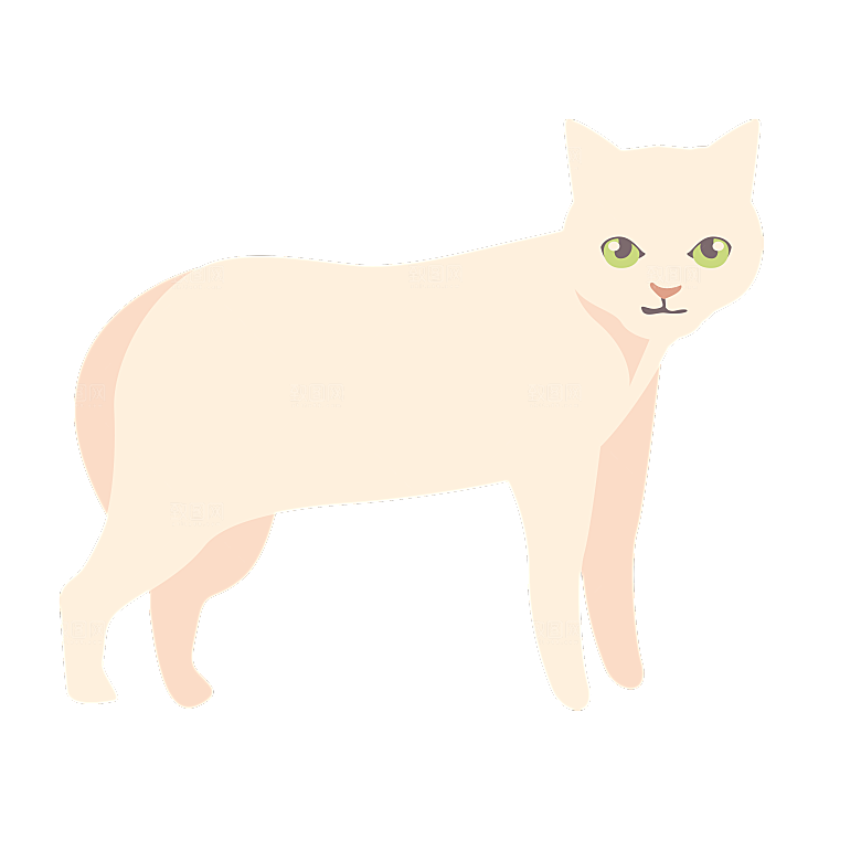 可爱卡通宠物猫咪插画手绘元素
