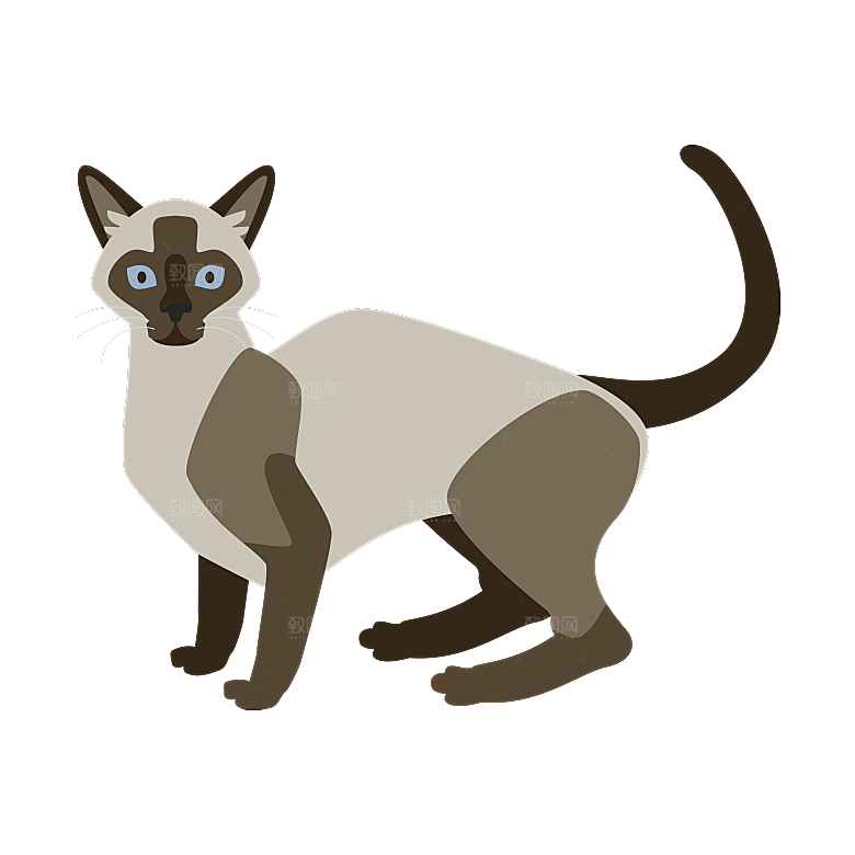 可爱卡通宠物猫咪插画手绘元素