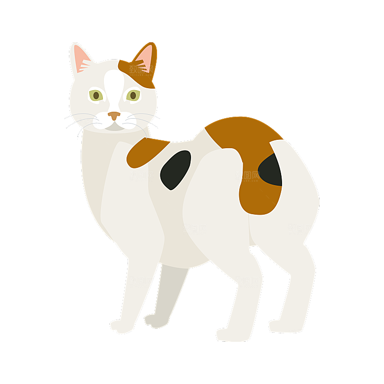 可爱卡通宠物猫咪插画手绘元素